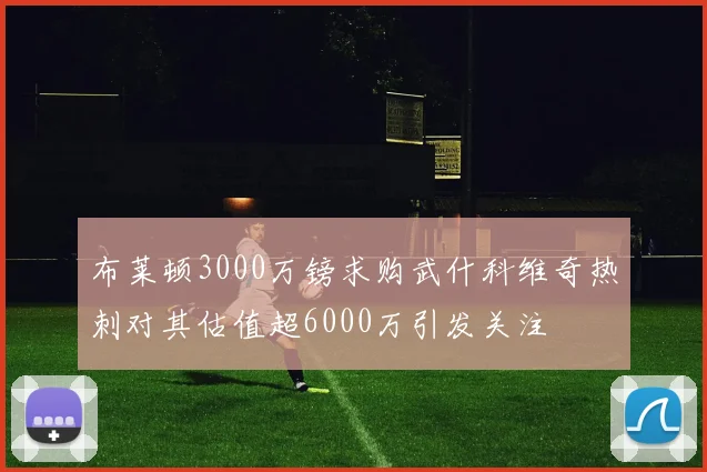 布莱顿3000万镑求购武什科维奇热刺对其估值超6000万引发关注